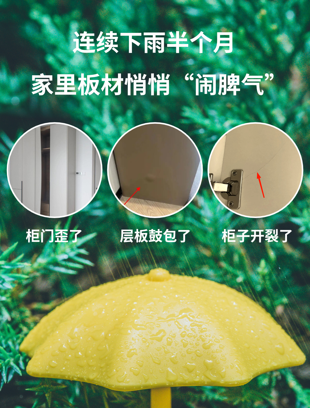 畫板2.jpg